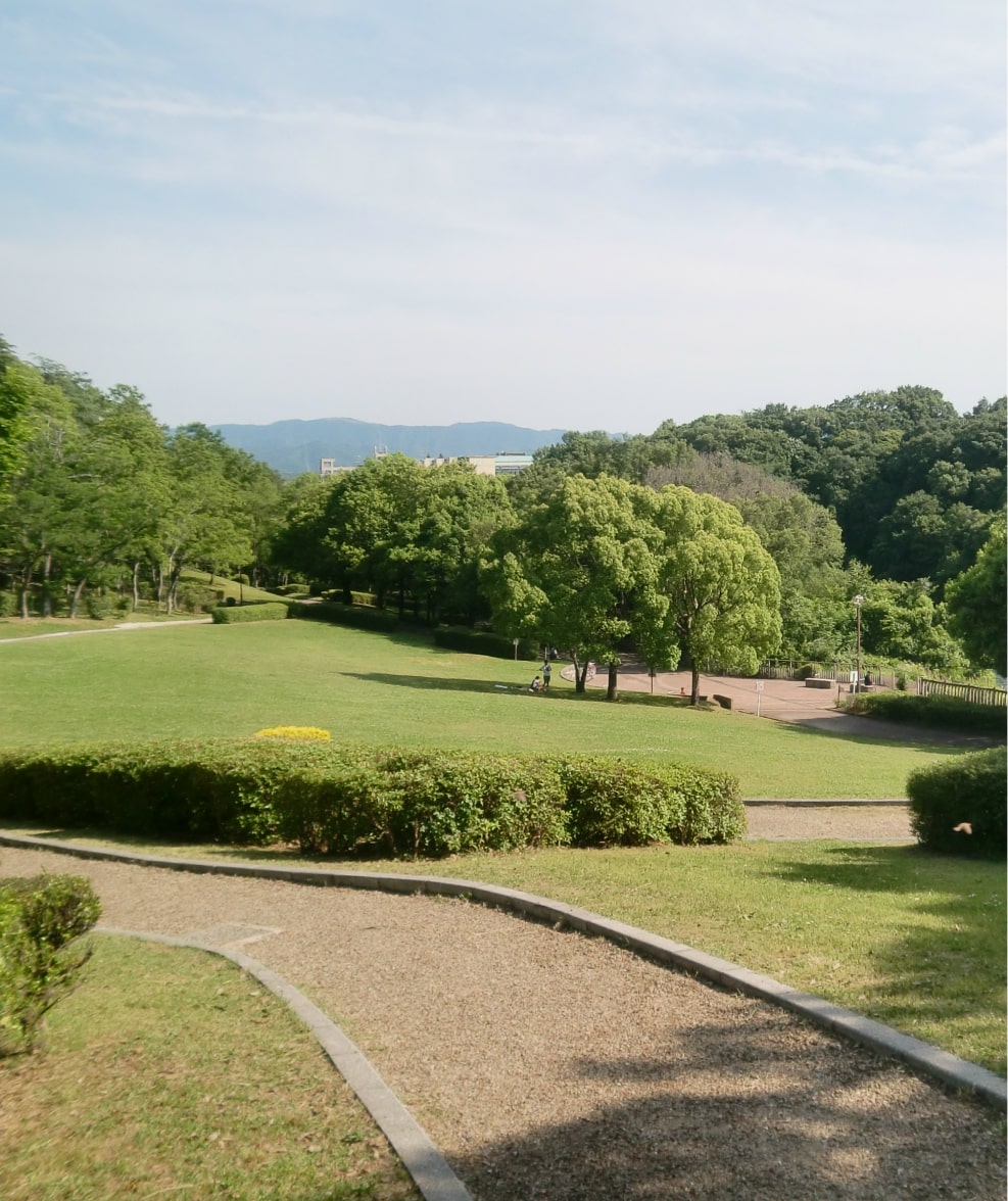 大蓮公園の写真