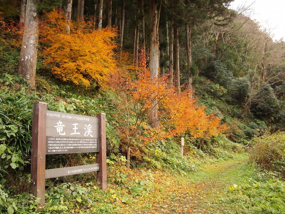 竜王渓遊歩道紅葉.JPG