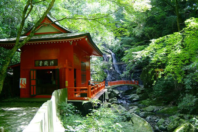 omikuji-daikichi-excellent-luck009.jpg